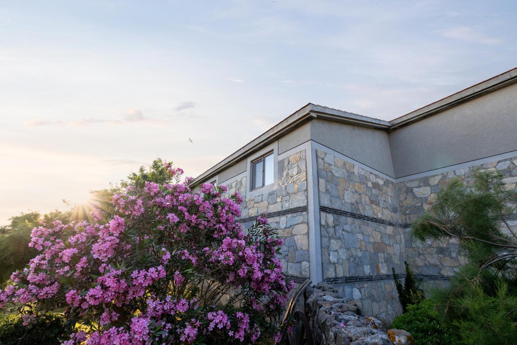 Gokceada Surf Egitim Merkezi Exterior photo